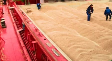 Commercial Management